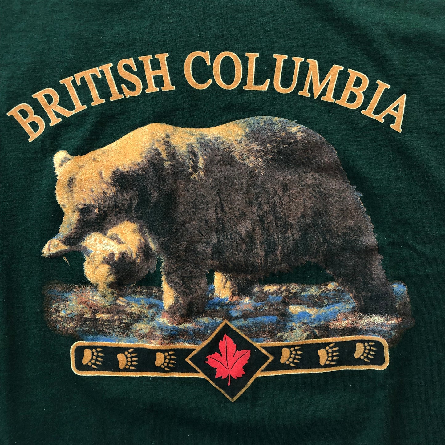 British Columbia Grizzly Bear T Shirt L