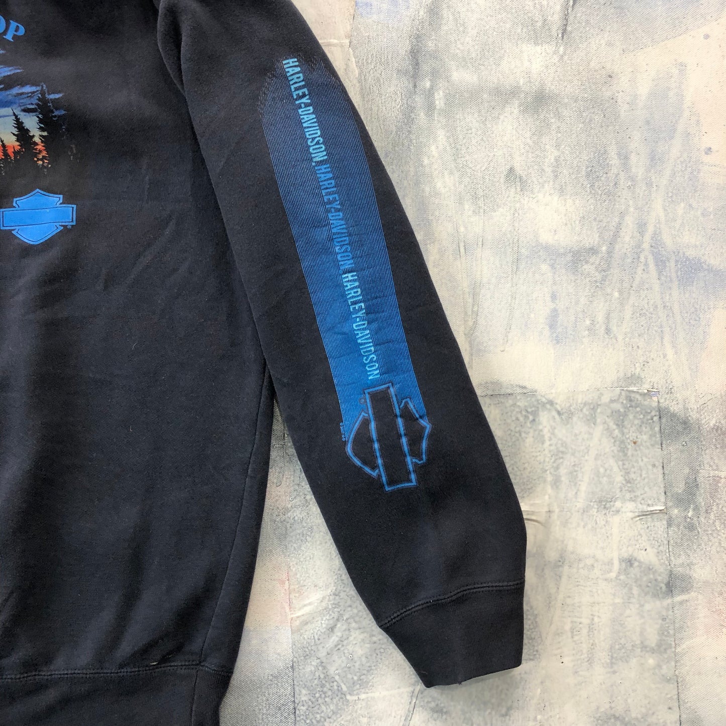 Harley Davidson Motrocycles Denali Wasilla Alaska Hoodie Zip Sweatshirt L