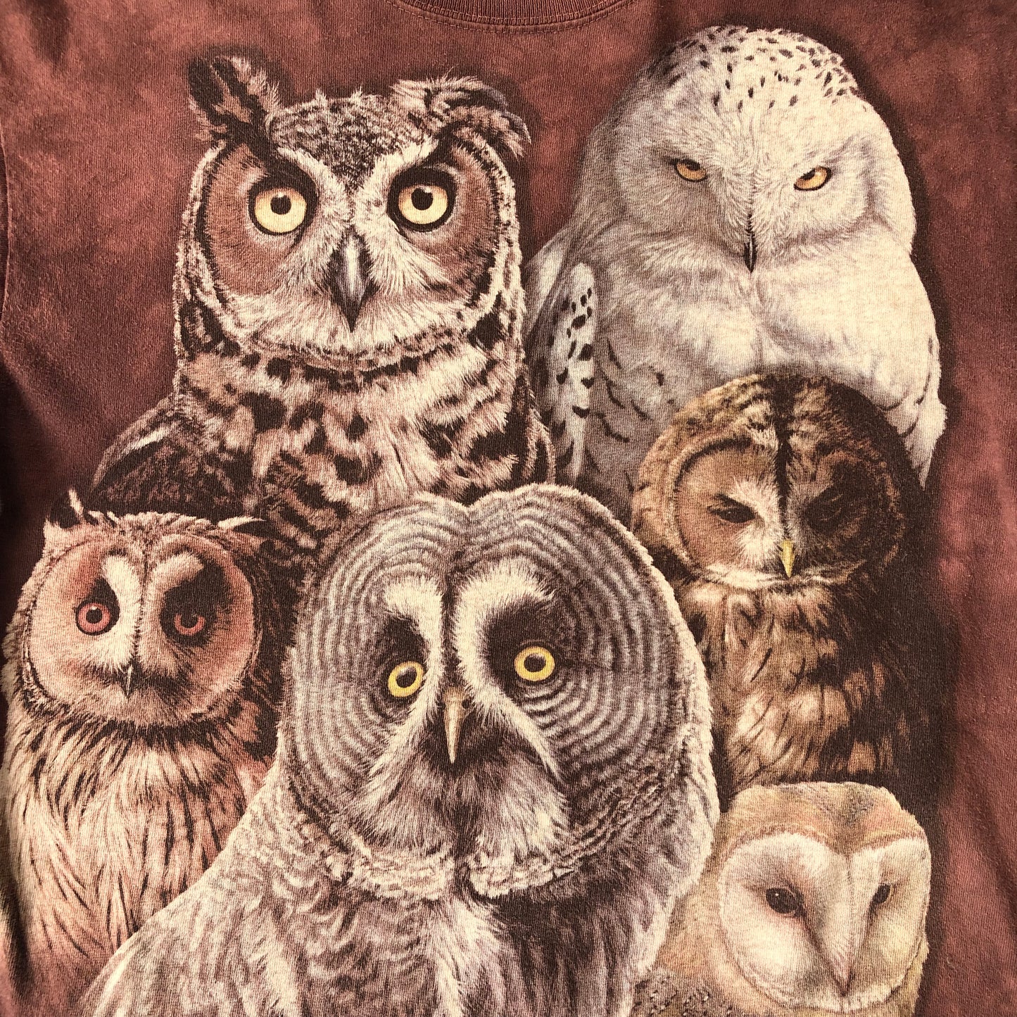 Vintage The Mountain Owls T Shirt M