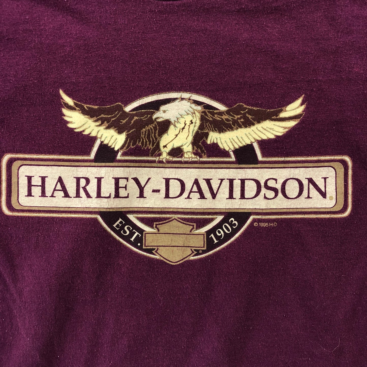 Harley Davidson Southeast Cleveland Ohio L