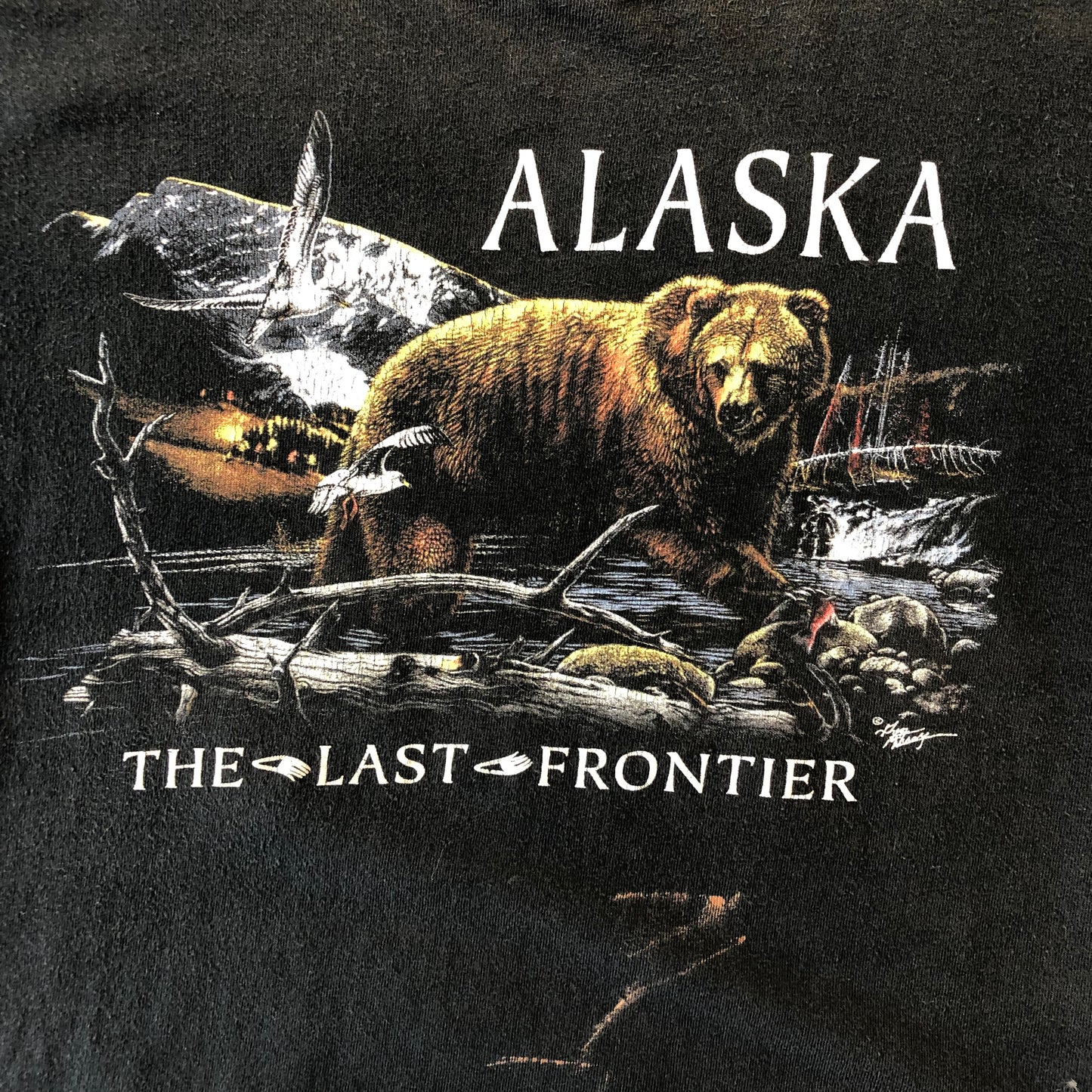 Vintage Alaska The Last Frontier Grizzly Bear T Shirt M