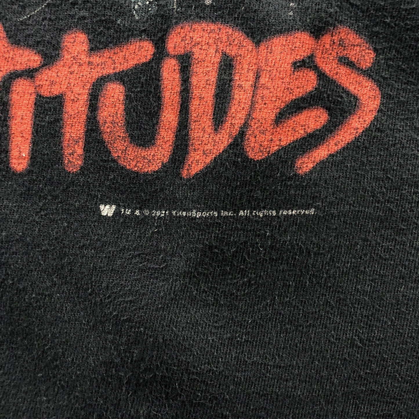 Vintage WWE 2 Dudes with Attitude Diesel & Shawn Michaels T Shirt L