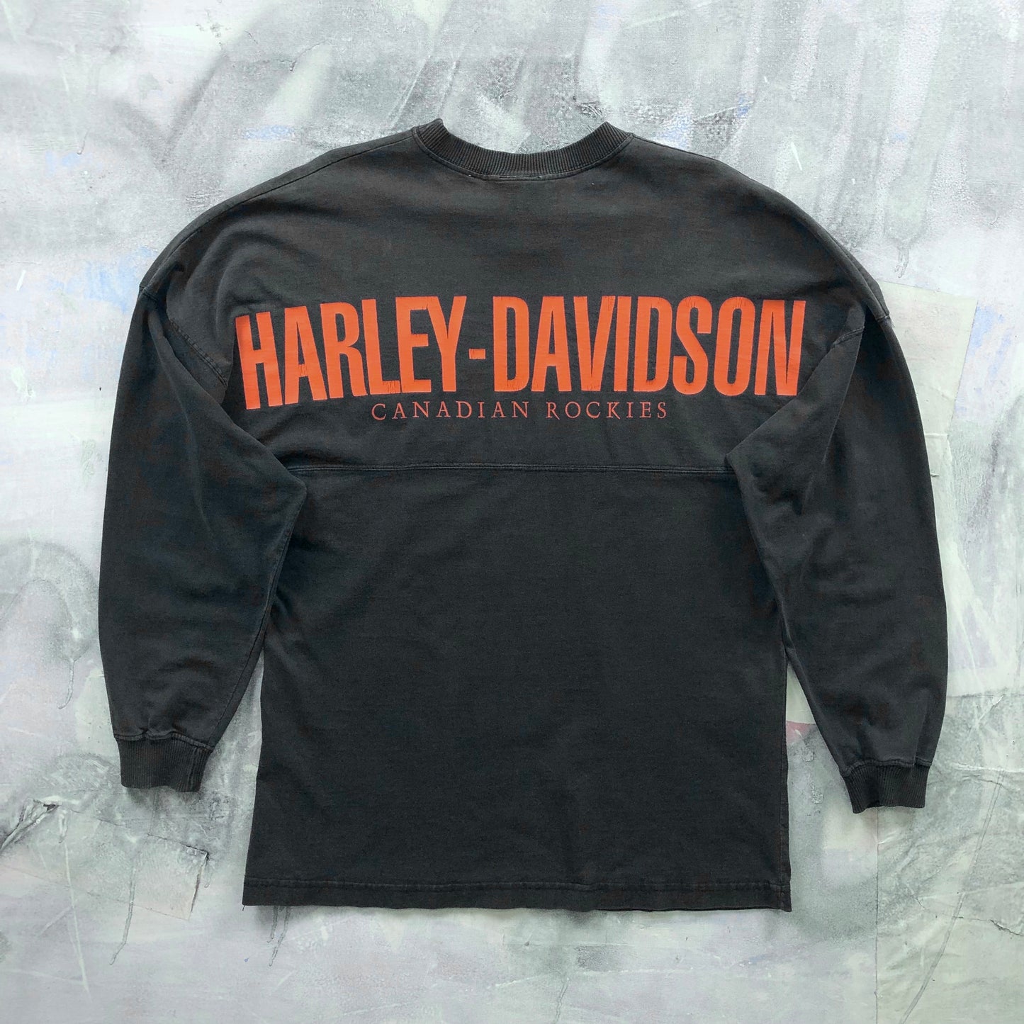 Vintage Harley Davidson Motorcycles Canadian Rockies Long Sleeve Heavyweight Shirt L