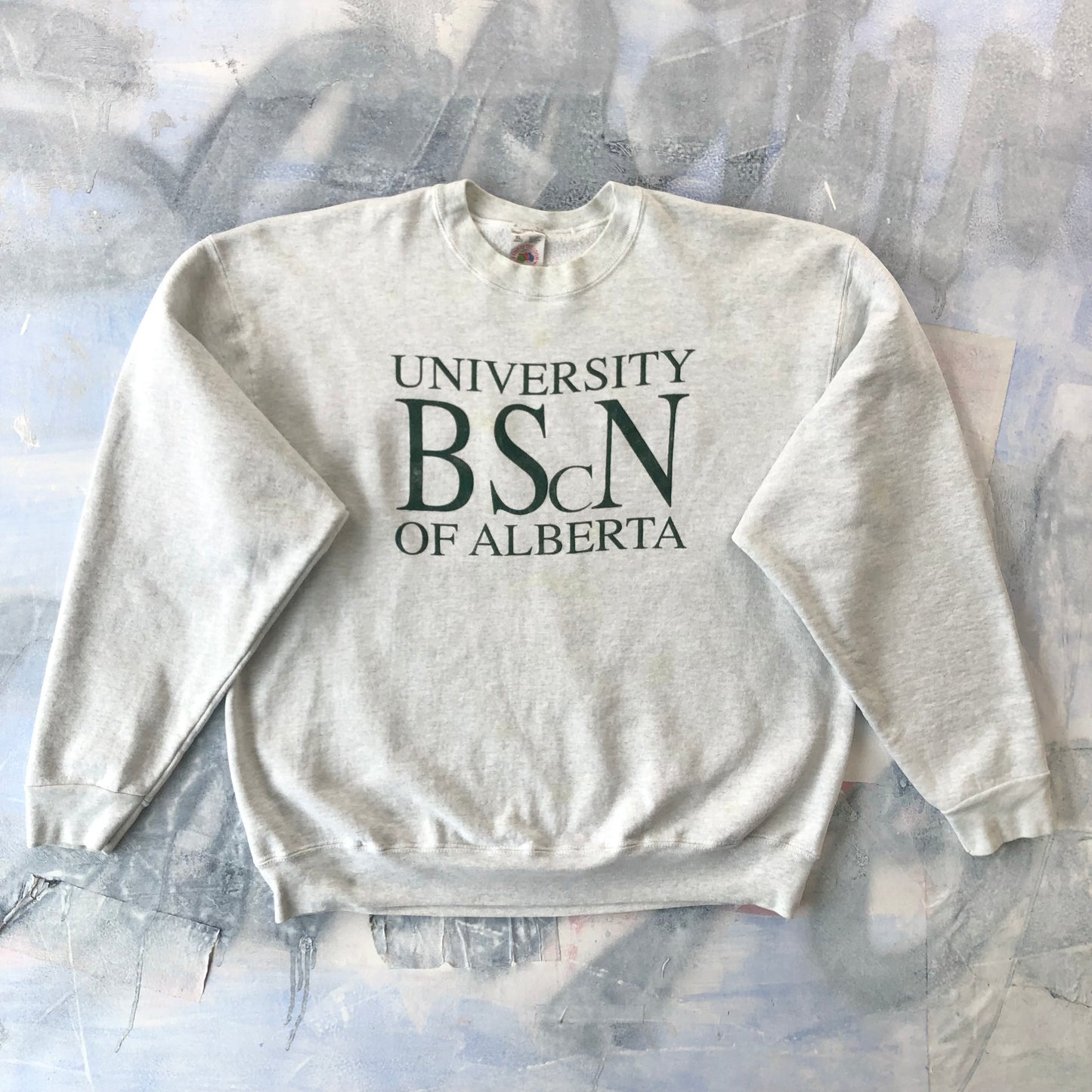Vintage USA 90s University Of Albert Crewneck Sweatshirt XL