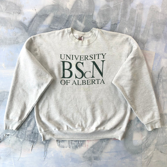 Vintage USA 90s University Of Albert Crewneck Sweatshirt XL