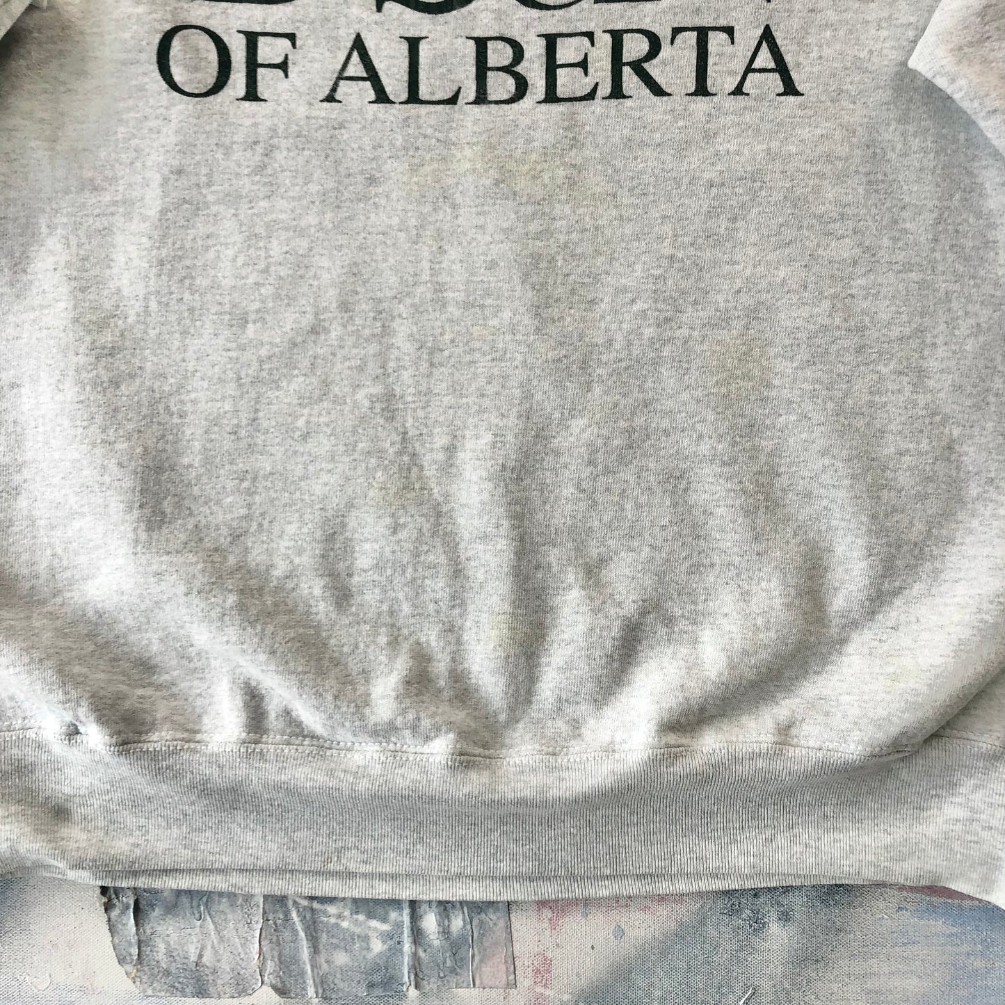 Vintage USA 90s University Of Albert Crewneck Sweatshirt XL