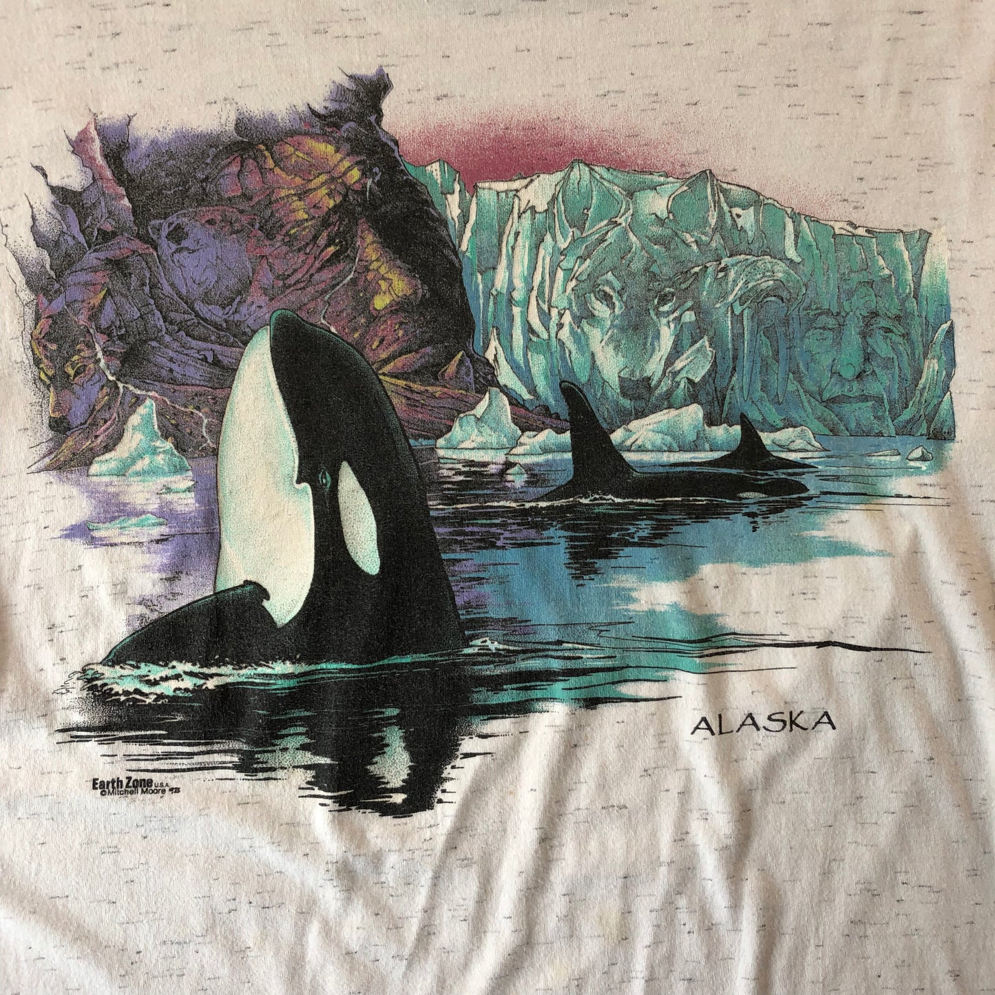 Vintage 90s Earth Zone Mitchell Moore Alaska T Shirt L