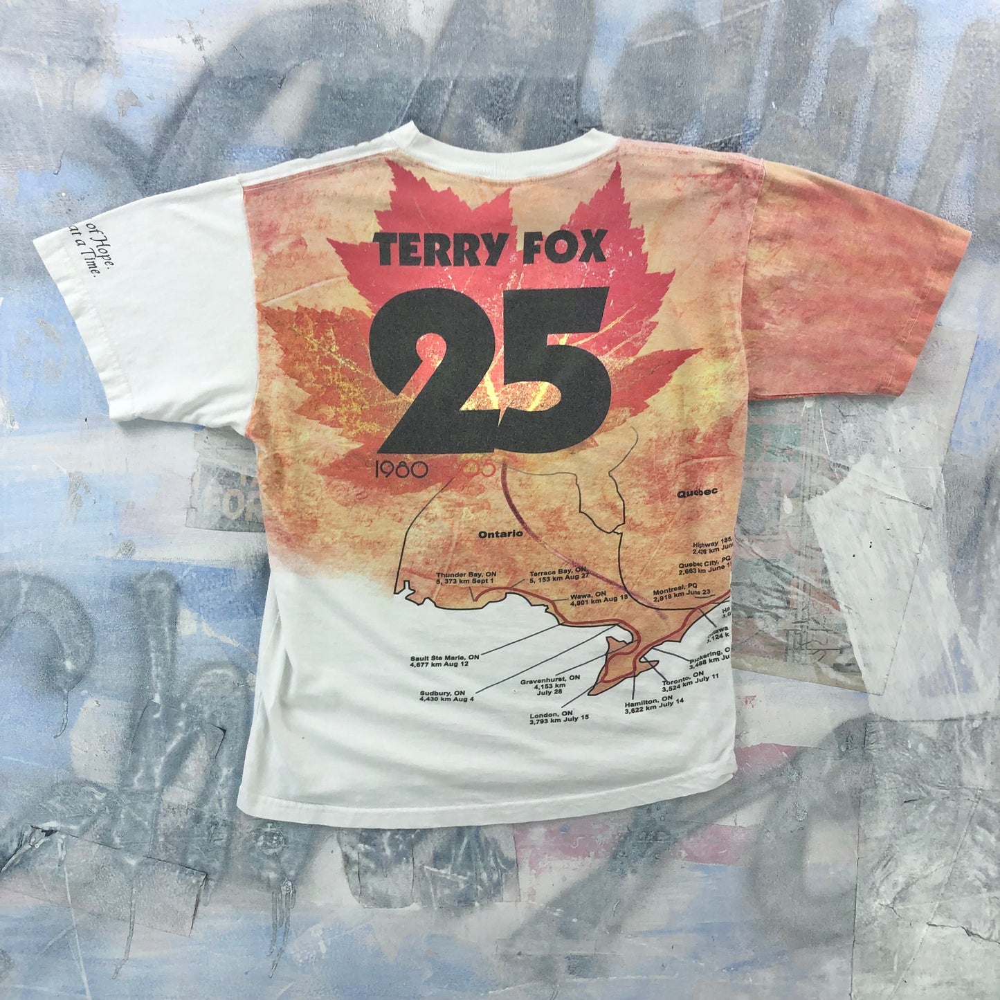 Vintage Terry Fox Marathon Of Hope AOP T Shirt M
