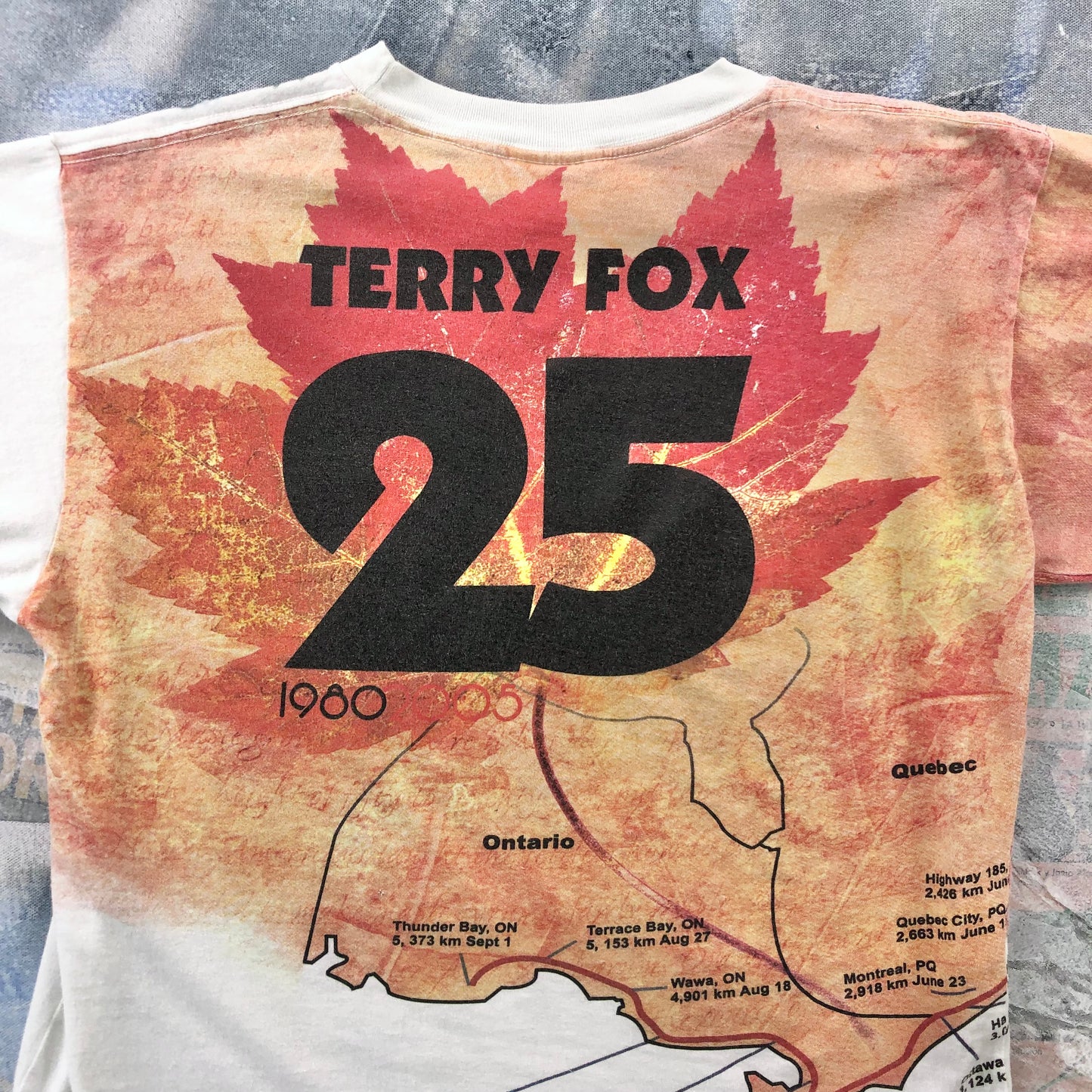 Vintage Terry Fox Marathon Of Hope AOP T Shirt M