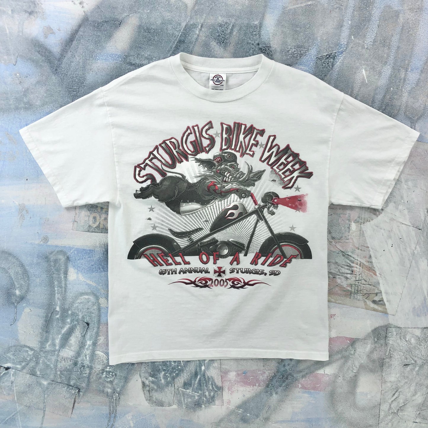 Vintage 2005 Sturgis Bike Week T Shirt M