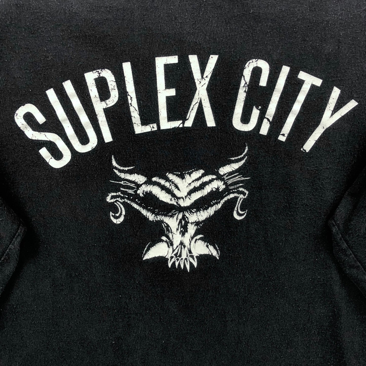 Vintage WWE Supplex City The Beast Brock Lesner Long Sleeve T Shirt L