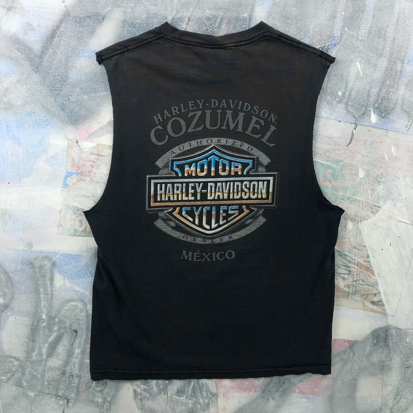 Harley Davidson Motorcycles Skull Flames Cozumel Mexico T Shirt L