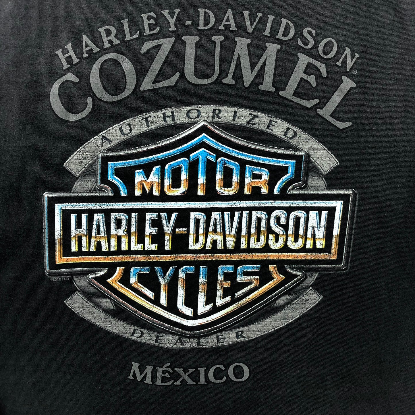 Harley Davidson Motorcycles Skull Flames Cozumel Mexico T Shirt L