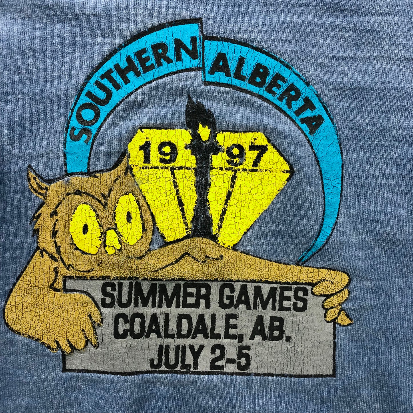 Vintage 90s Southern Alberta Summer Games Crewneck Sweatshirt L