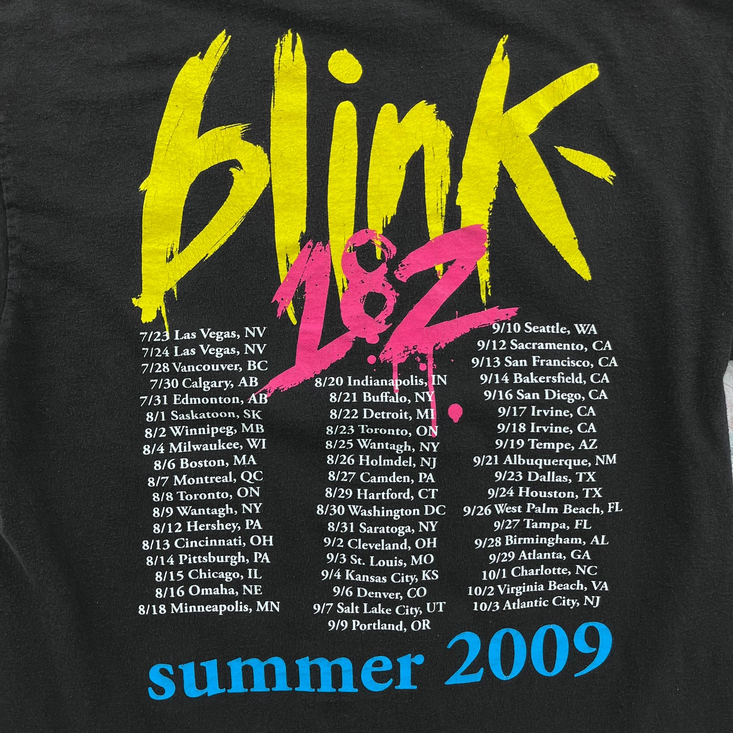 Vintage Blink 182 Summer 2009 Tour T Shirt M