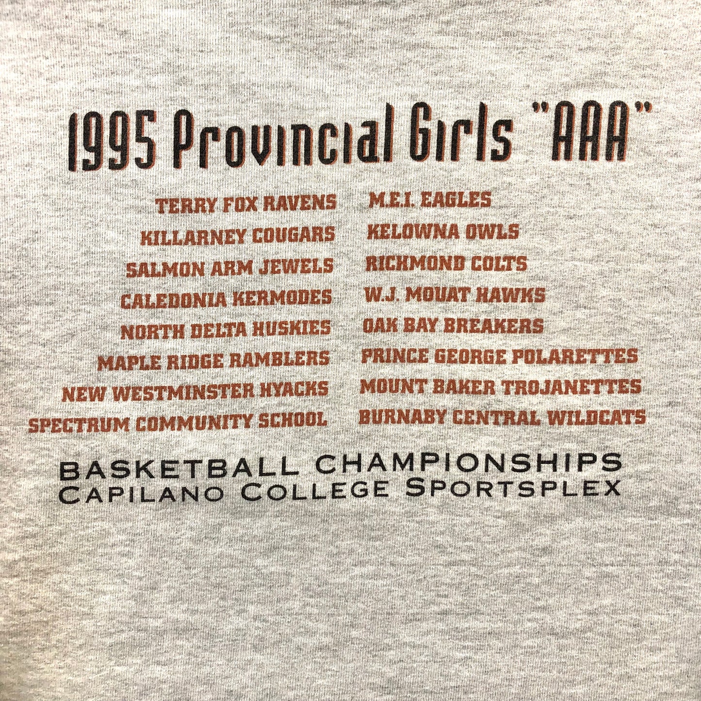 Vintage USA 1995 Provincial Girls AAA Basketball Champions Crewneck Sweatshirt XL