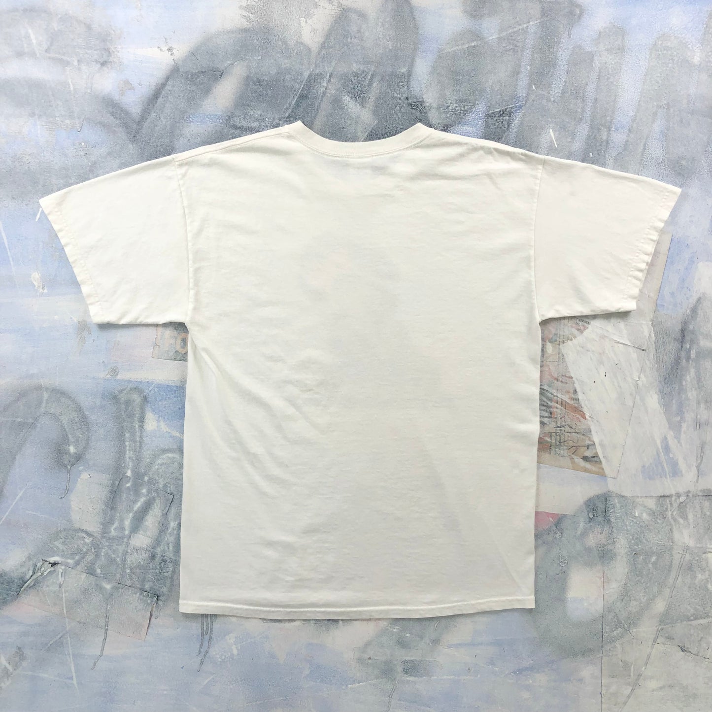 Vintage Saint Francis Xavier University T Shirt L