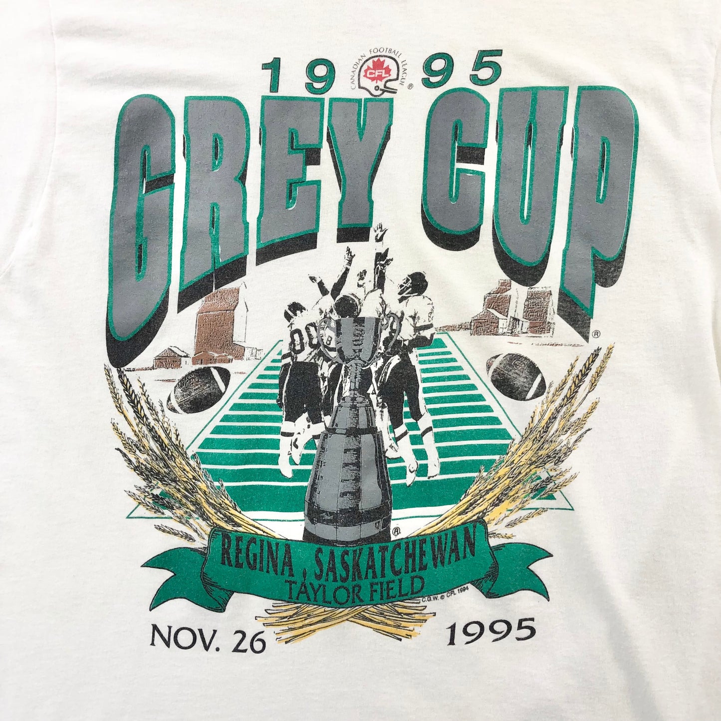 Vintage USA 90s CFL Grey Cup Taylor Field T Shirt XL