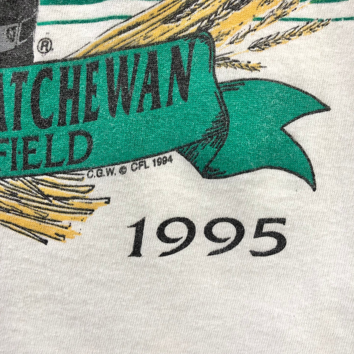 Vintage USA 90s CFL Grey Cup Taylor Field T Shirt XL