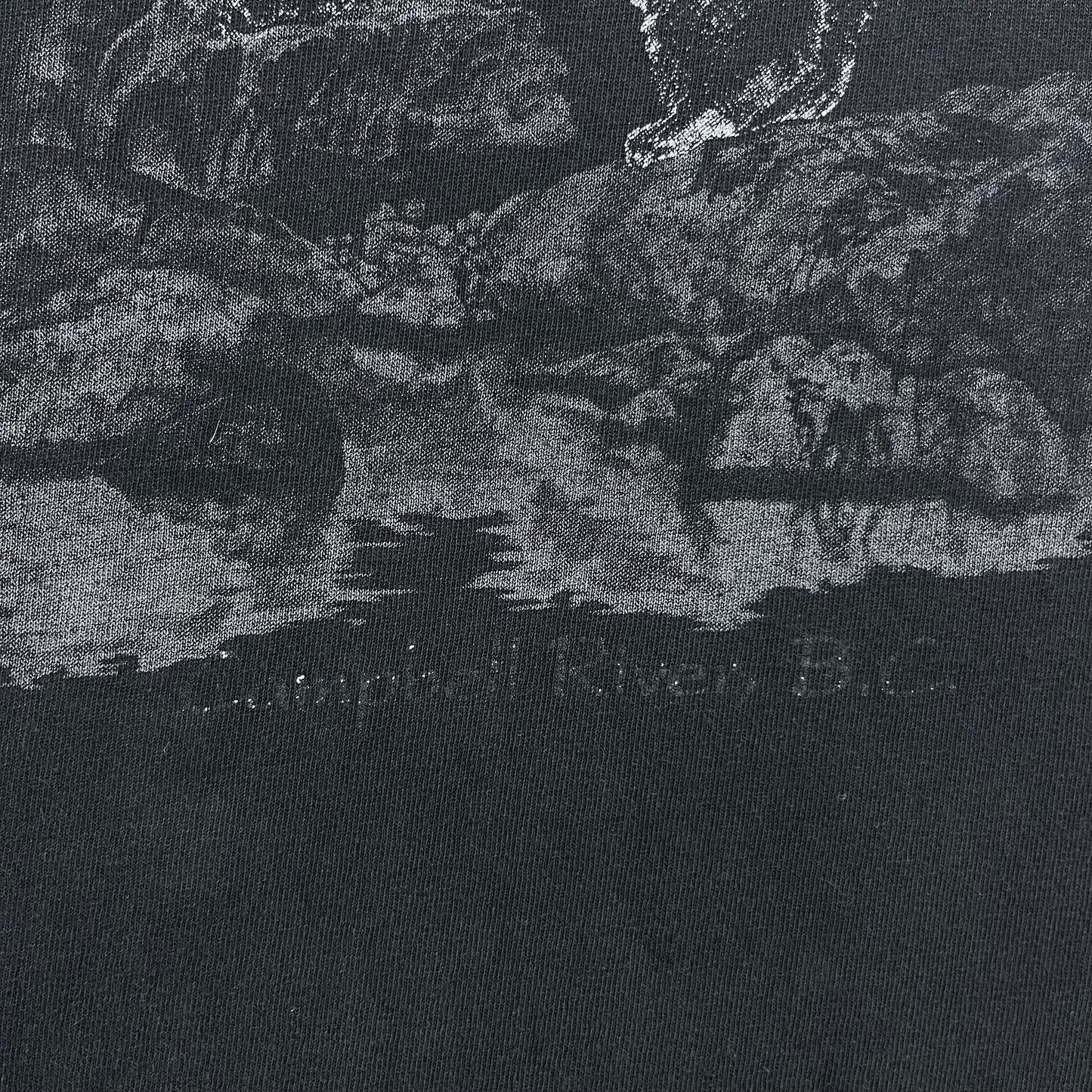 Vintage Black Bear Campbell River BC T Shirt L