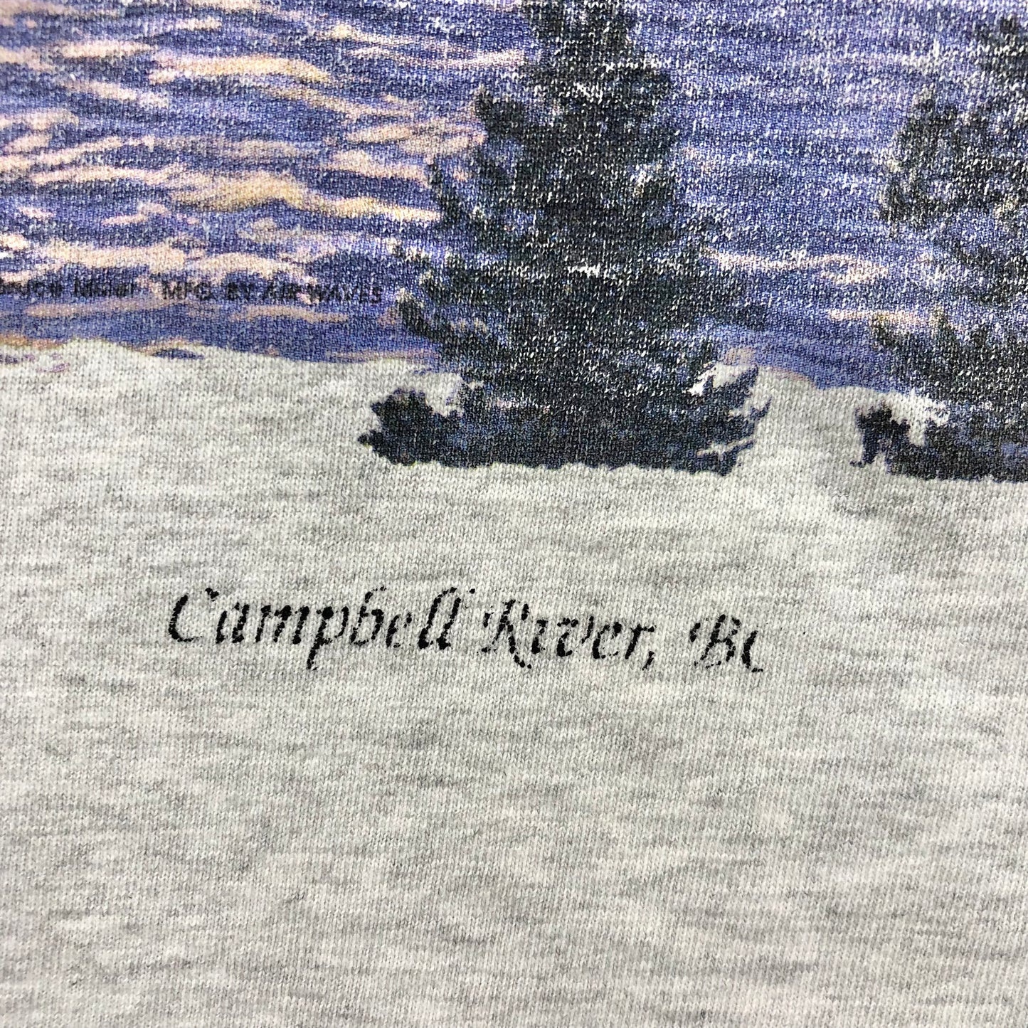 Vintage Flying Eagle Campbell River B.C T Shirt XL