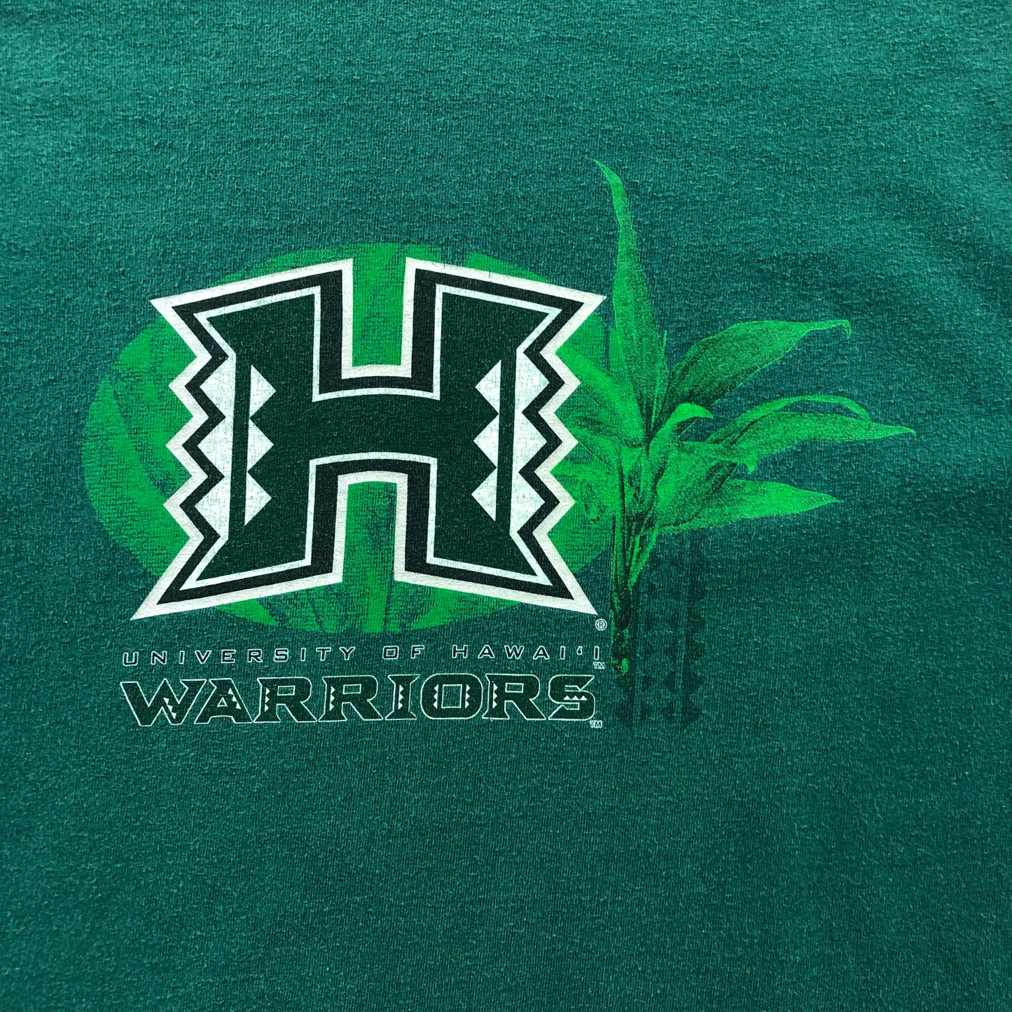 Vintage University Of Hawaii Warriors Football T Shirt L
