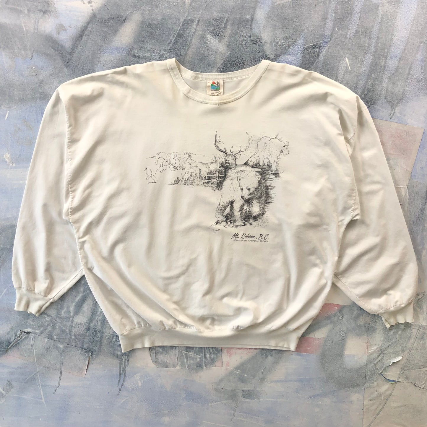 Vintage Highest In The Rockies Mt Robson B.C Long Sleeve T Shirt XL