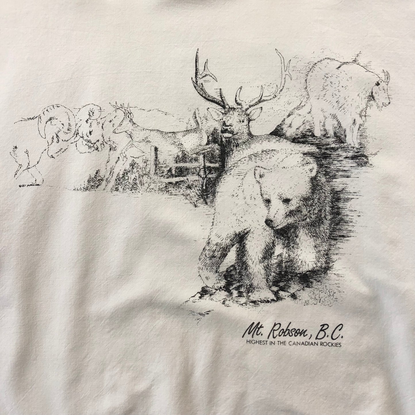 Vintage Highest In The Rockies Mt Robson B.C Long Sleeve T Shirt XL