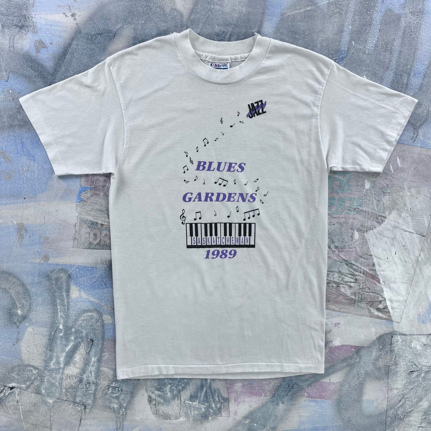 Vintage 80s USA Blues Gardens Saskatchewan Single Stitch T Shirt M