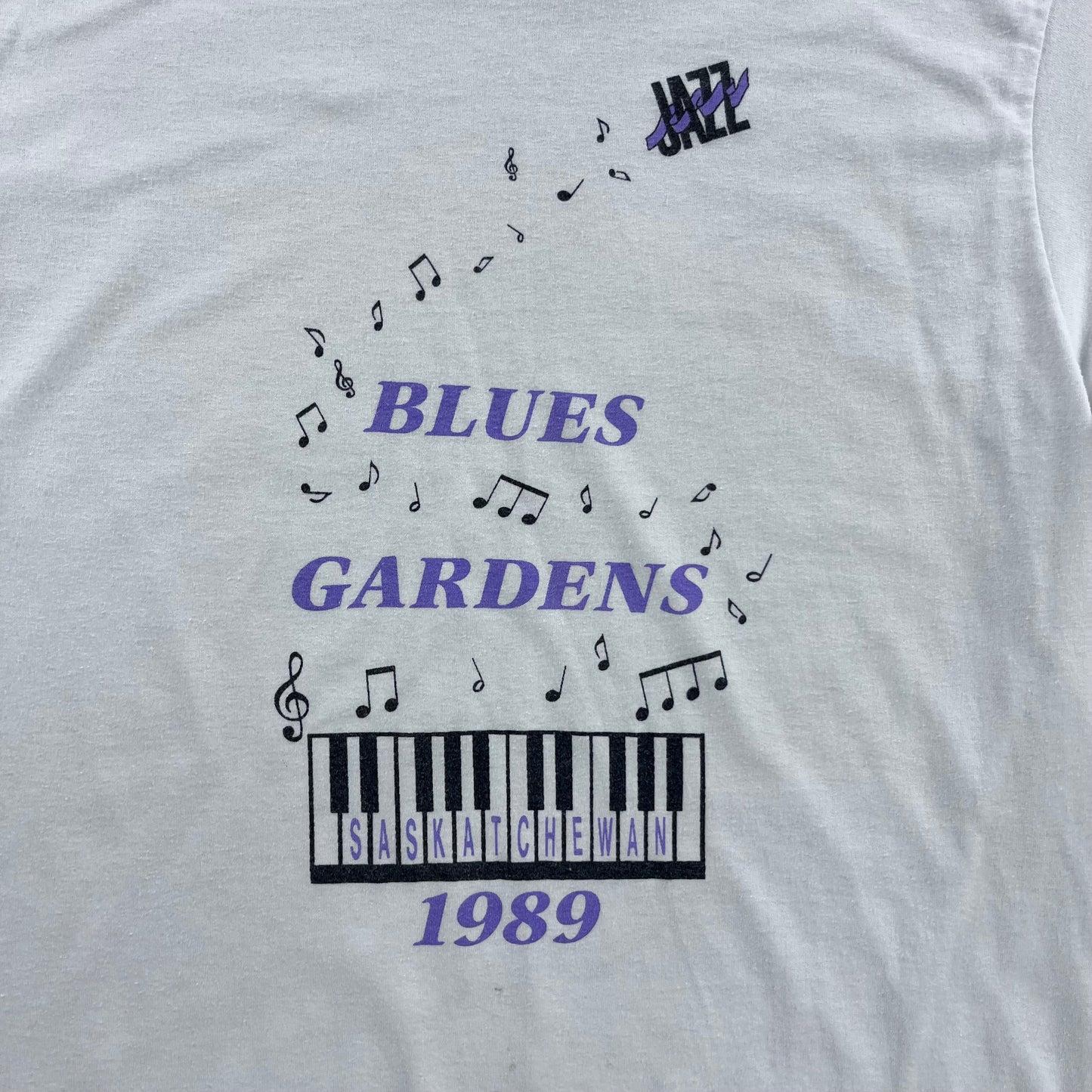 Vintage 80s USA Blues Gardens Saskatchewan Single Stitch T Shirt M