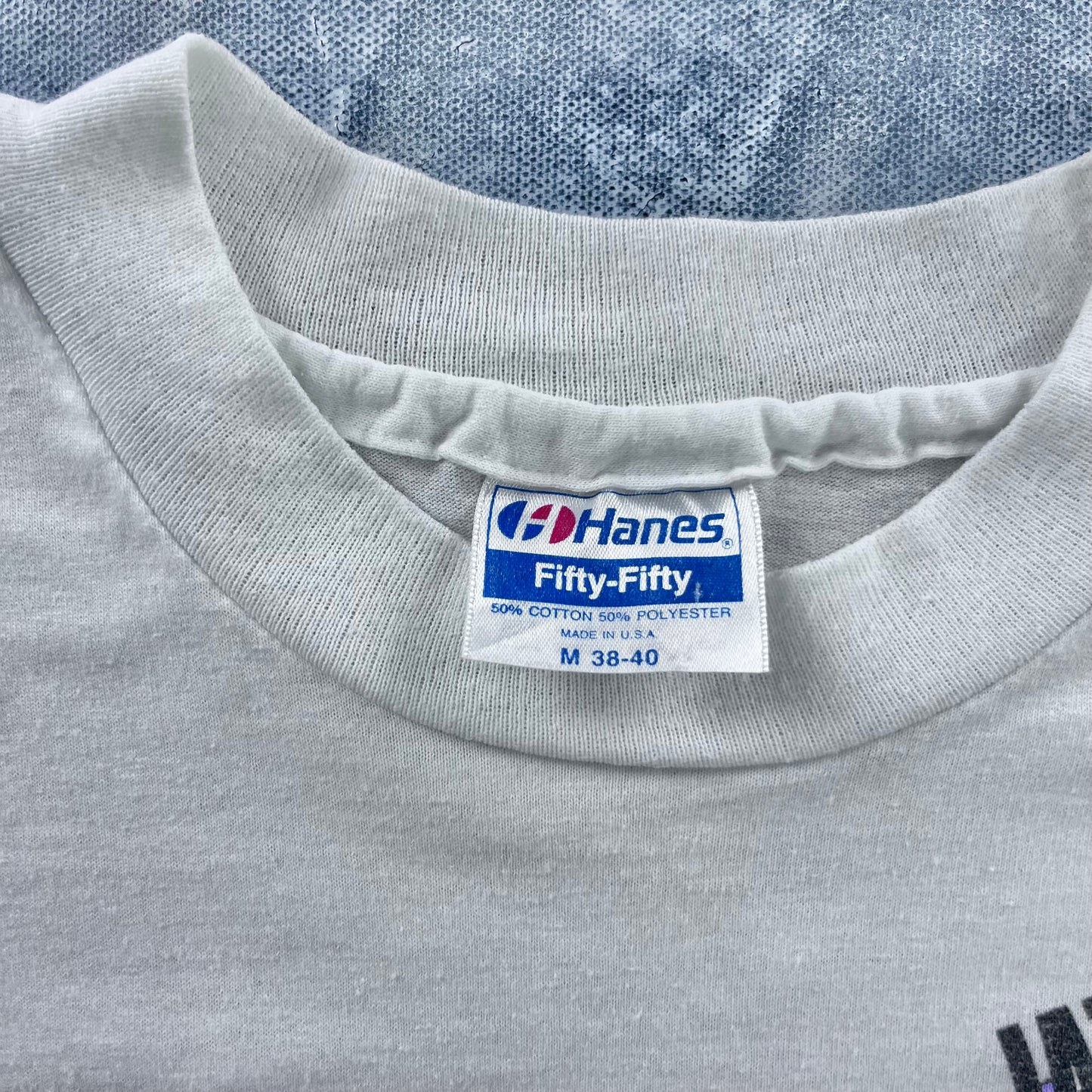 Vintage 80s USA Blues Gardens Saskatchewan Single Stitch T Shirt M
