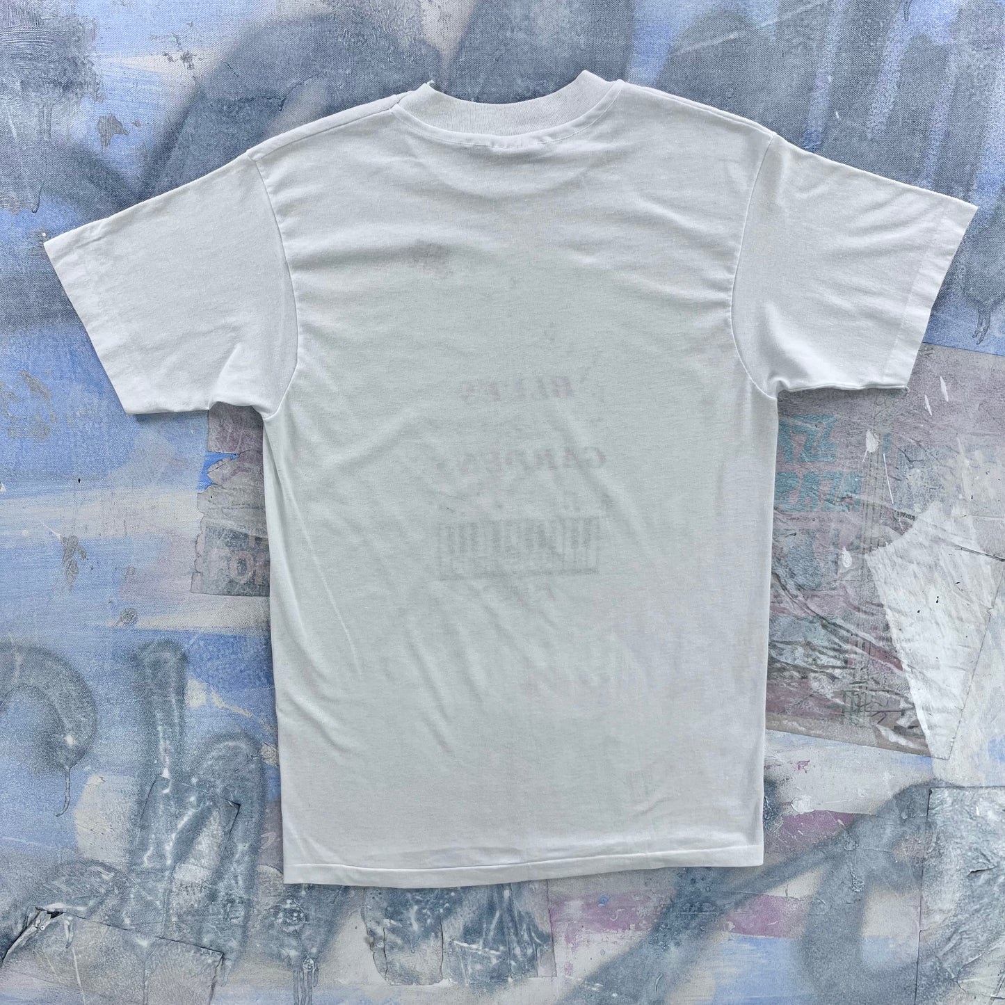 Vintage 80s USA Blues Gardens Saskatchewan Single Stitch T Shirt M