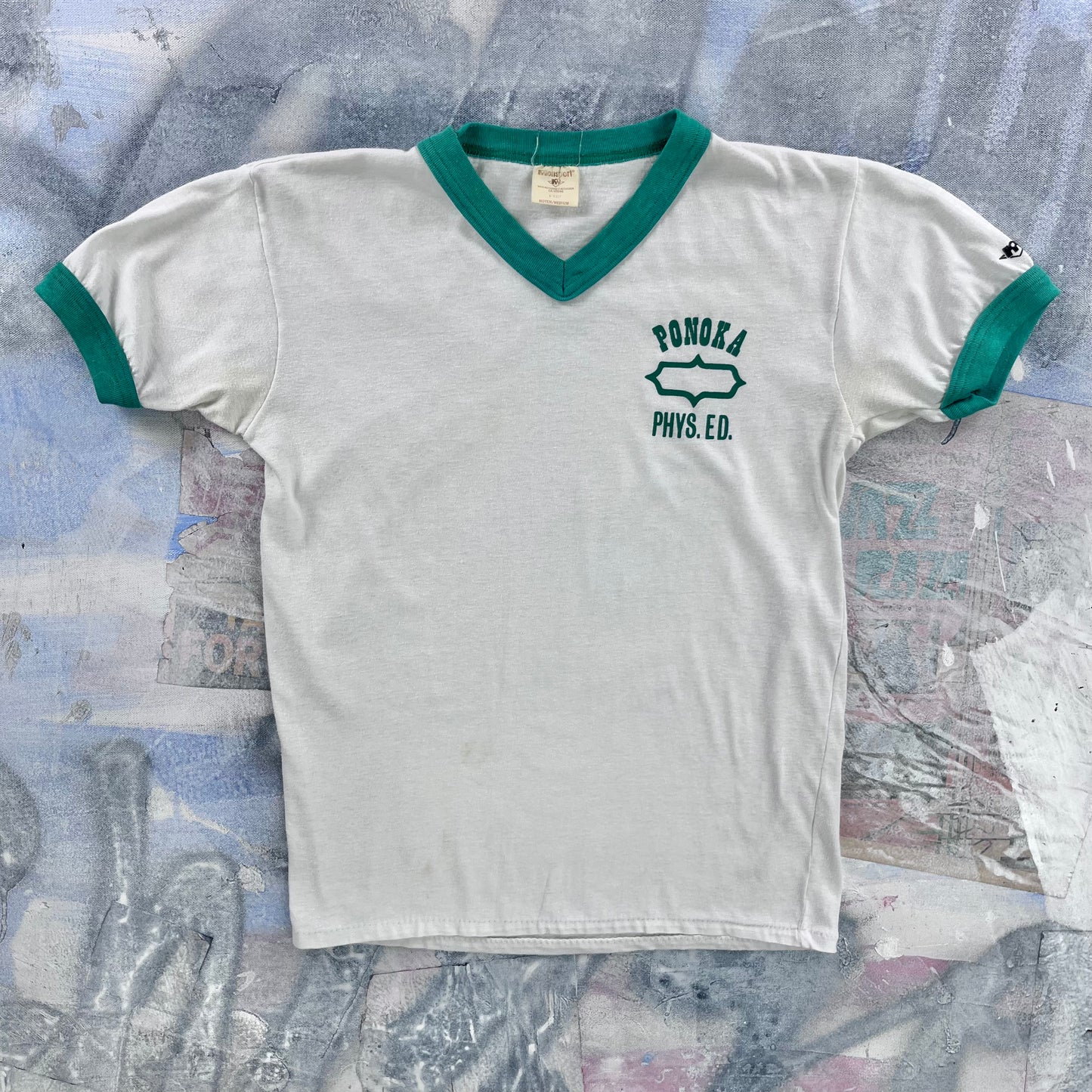 Vintage 80s Ponoka Alberta Physical Education Ringer Single Stitch T Shirt M