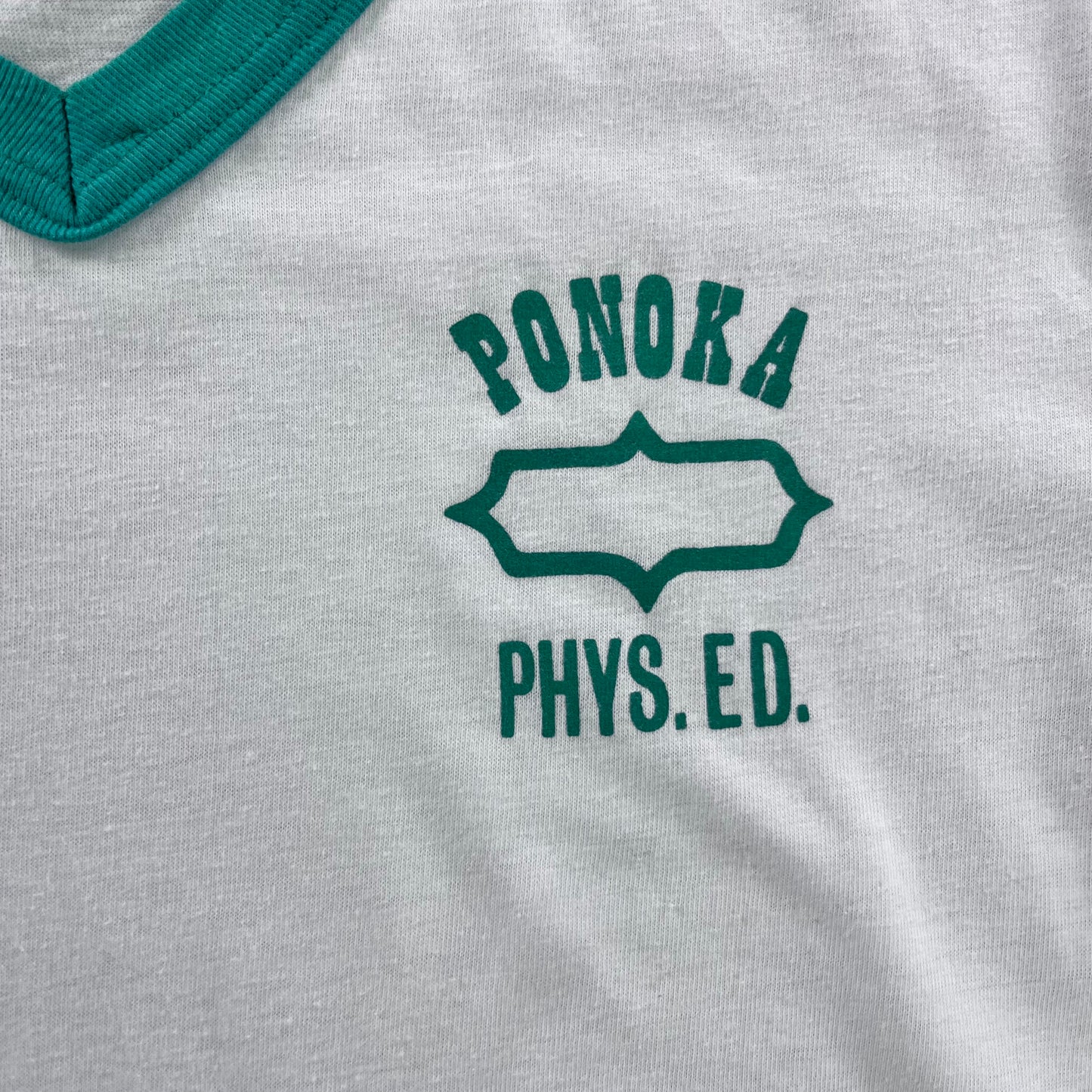 Vintage 80s Ponoka Alberta Physical Education Ringer Single Stitch T Shirt M