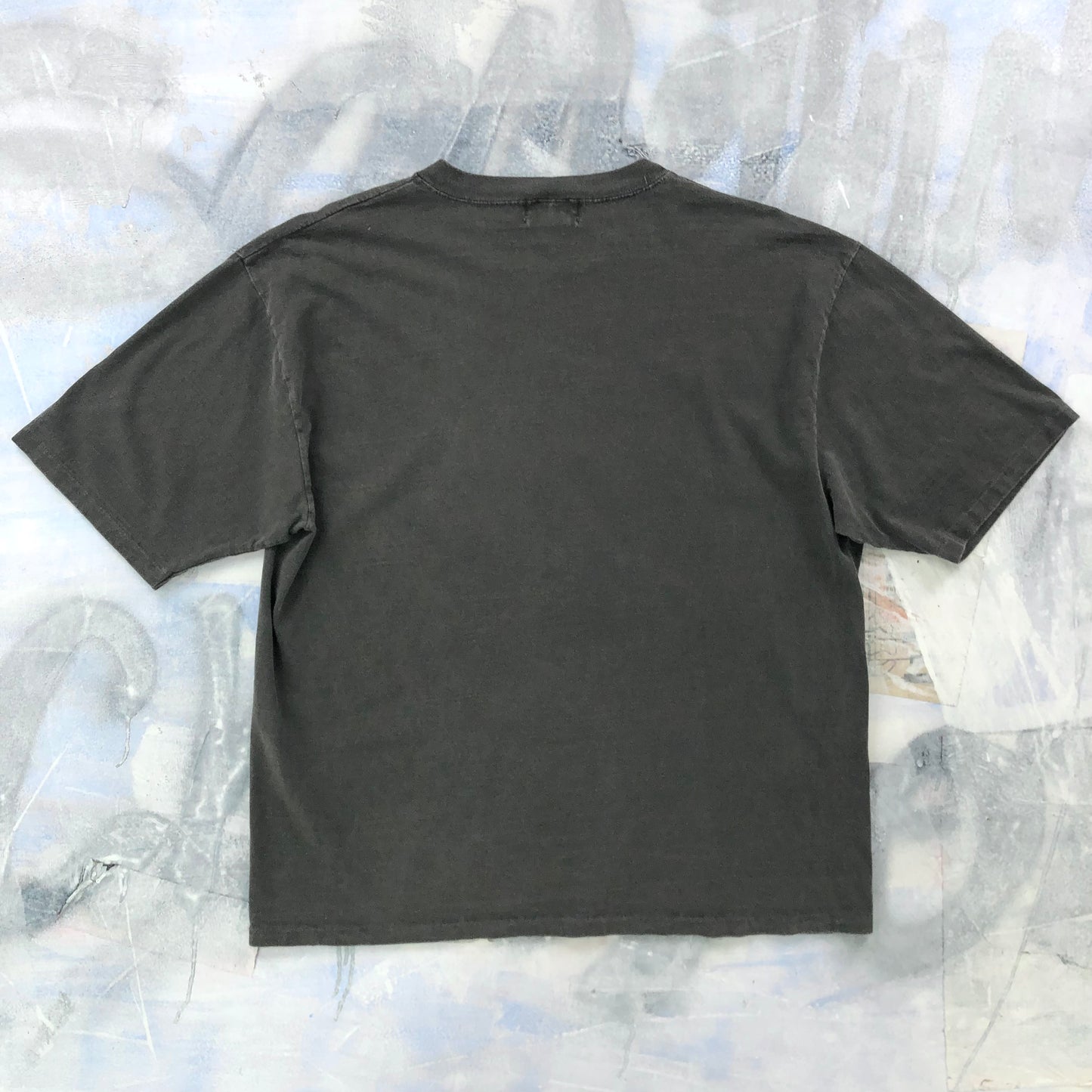 Vintage 90s CFL Grey Cup Champions B.C Lions T Shirt L