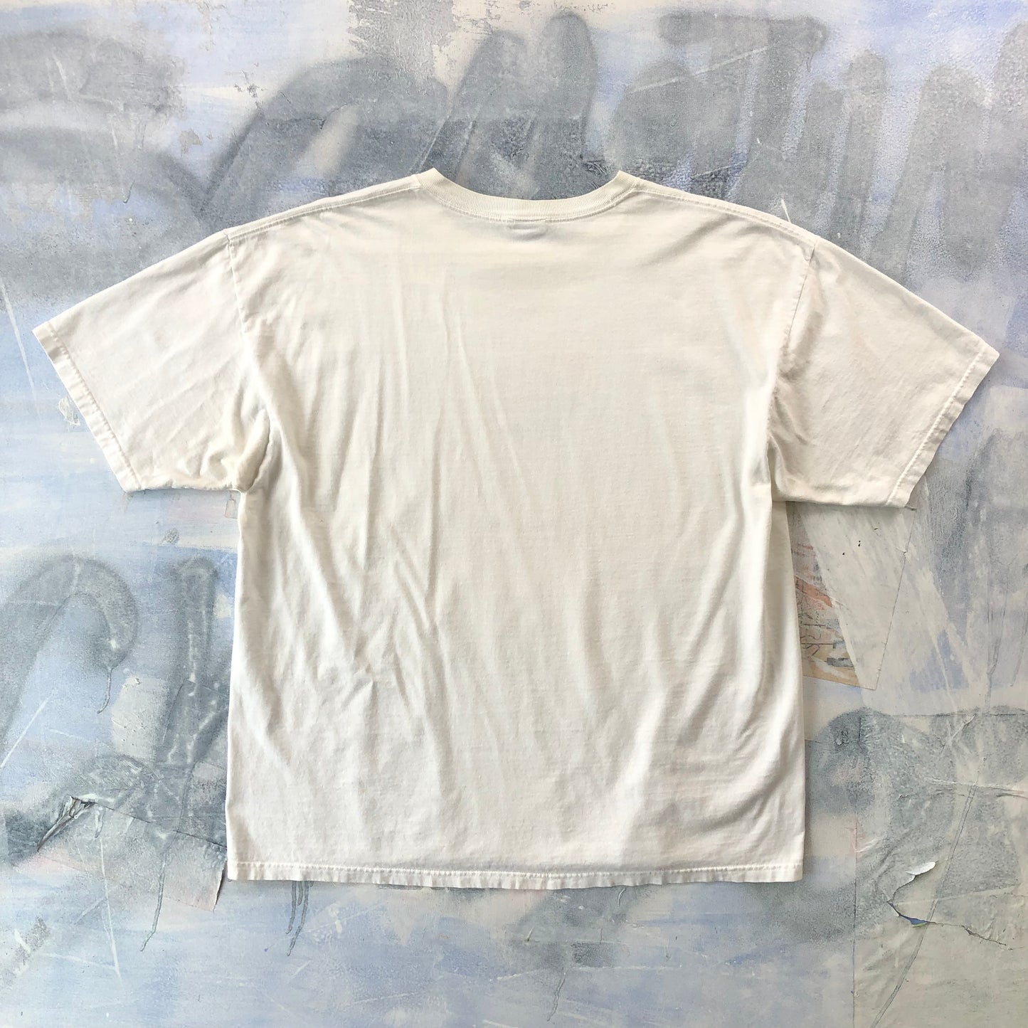 Vintage 2006 Pearl Jam Fiddler T Shirt XL