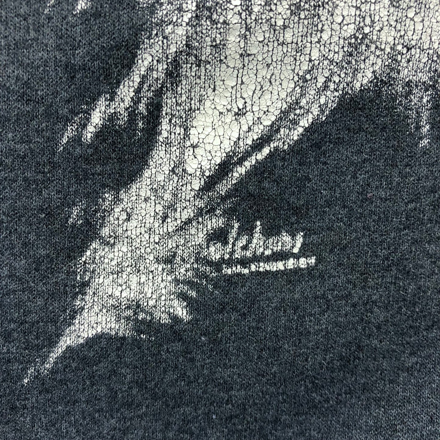 Vintage Lions Nature Crewneck Sweatshirt M