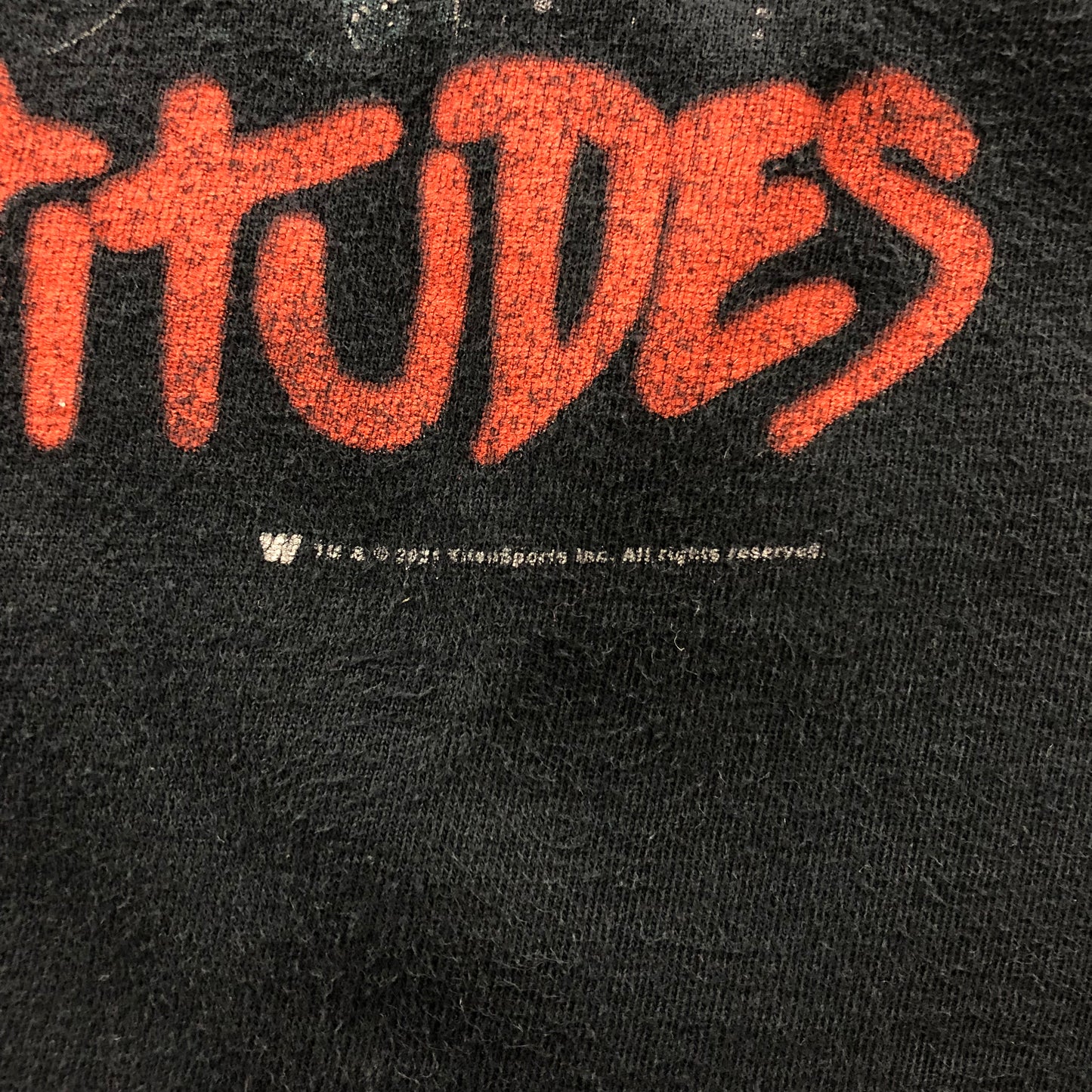 Vintage WWE 2 Dudes with Attitude Diesel & Shawn Michaels T Shirt L