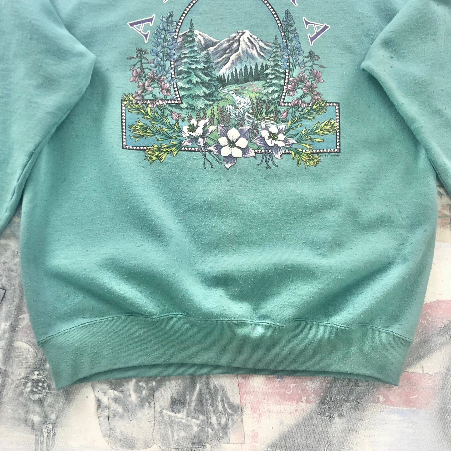Vintage 90s USA Alaska Prairie Mountain Crewneck Sweatshirt L