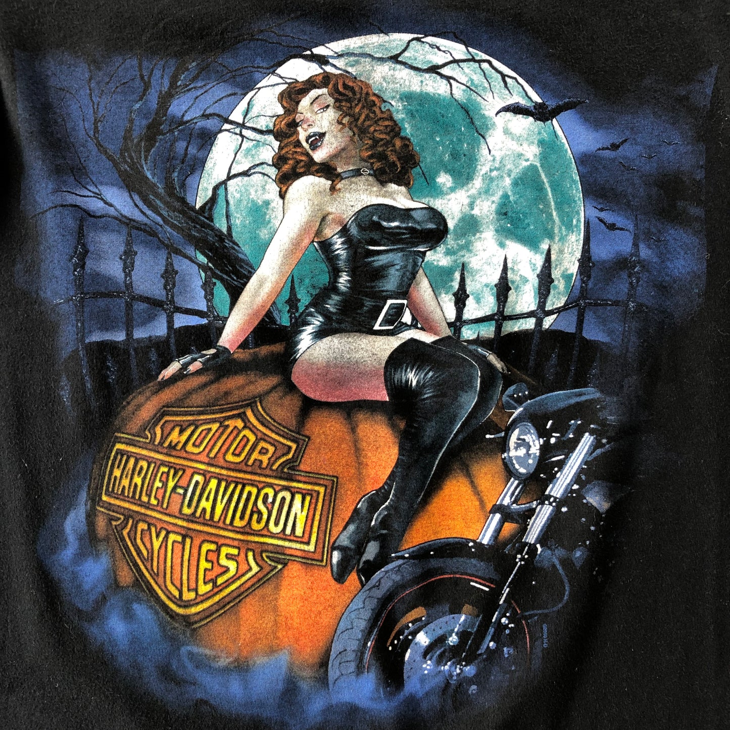 Vintage Harley Davidson Motorcycles Stewarts Miramichi New Brunswick Canada S