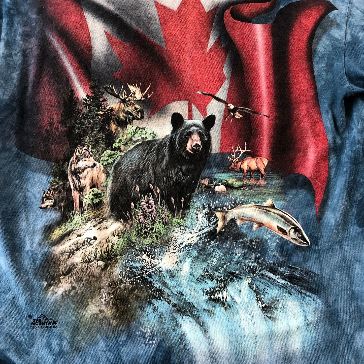 Vintage The Mountain Canada Nature T Shirt M