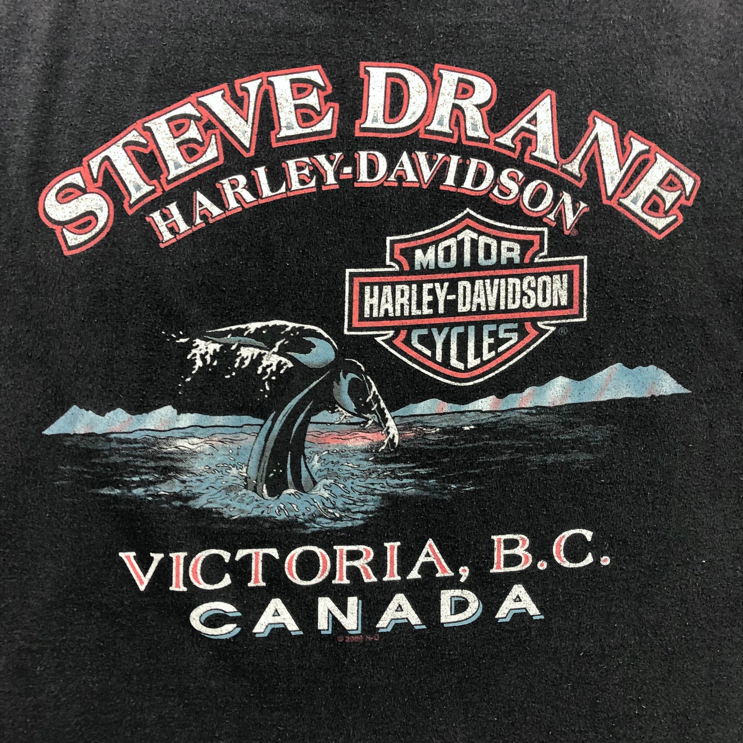 Vintage Harley Davidson Motorcycles Wolf Pack Campfire Victoria B.C T Shirt XL