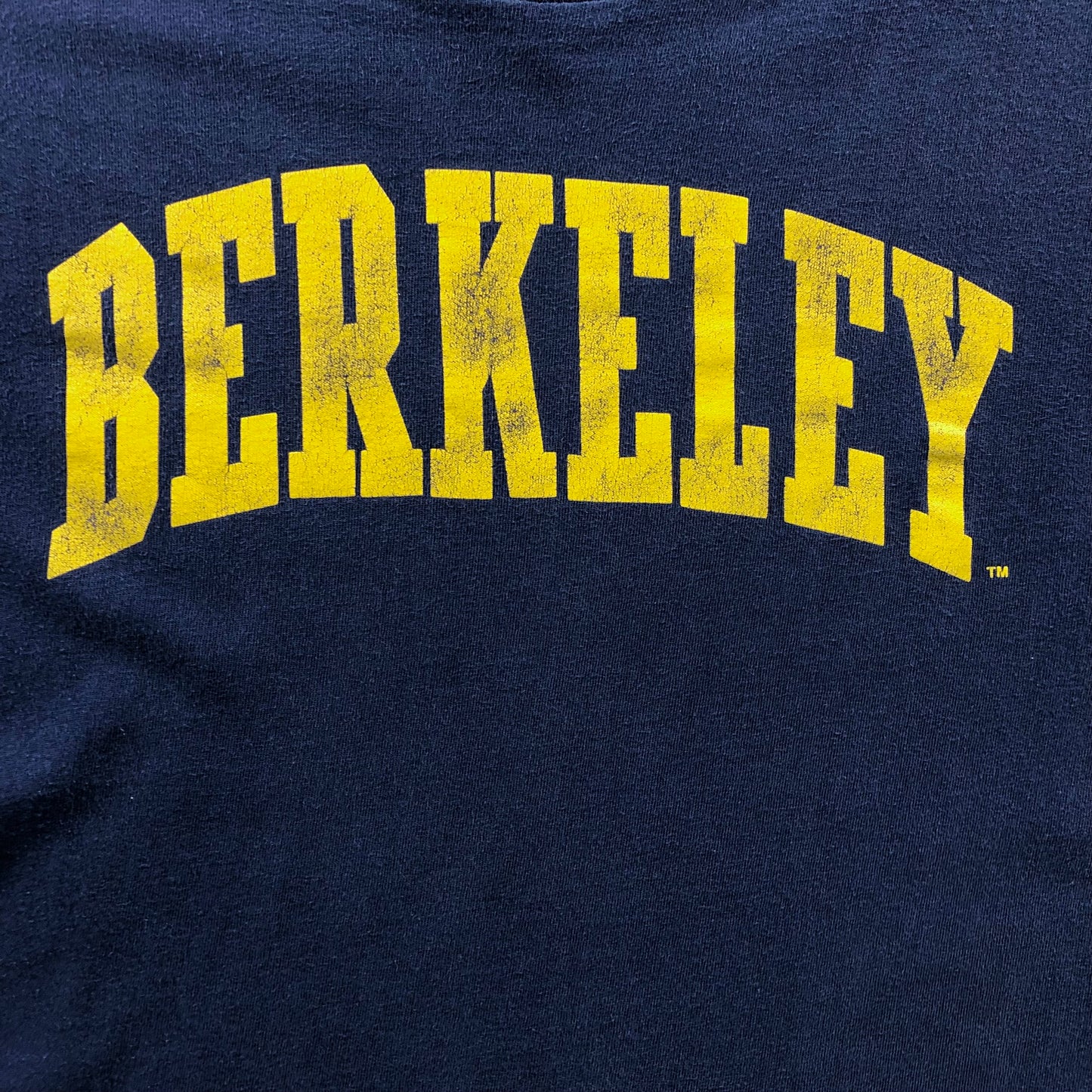 Vintage University Of California Berkley T Shirt L