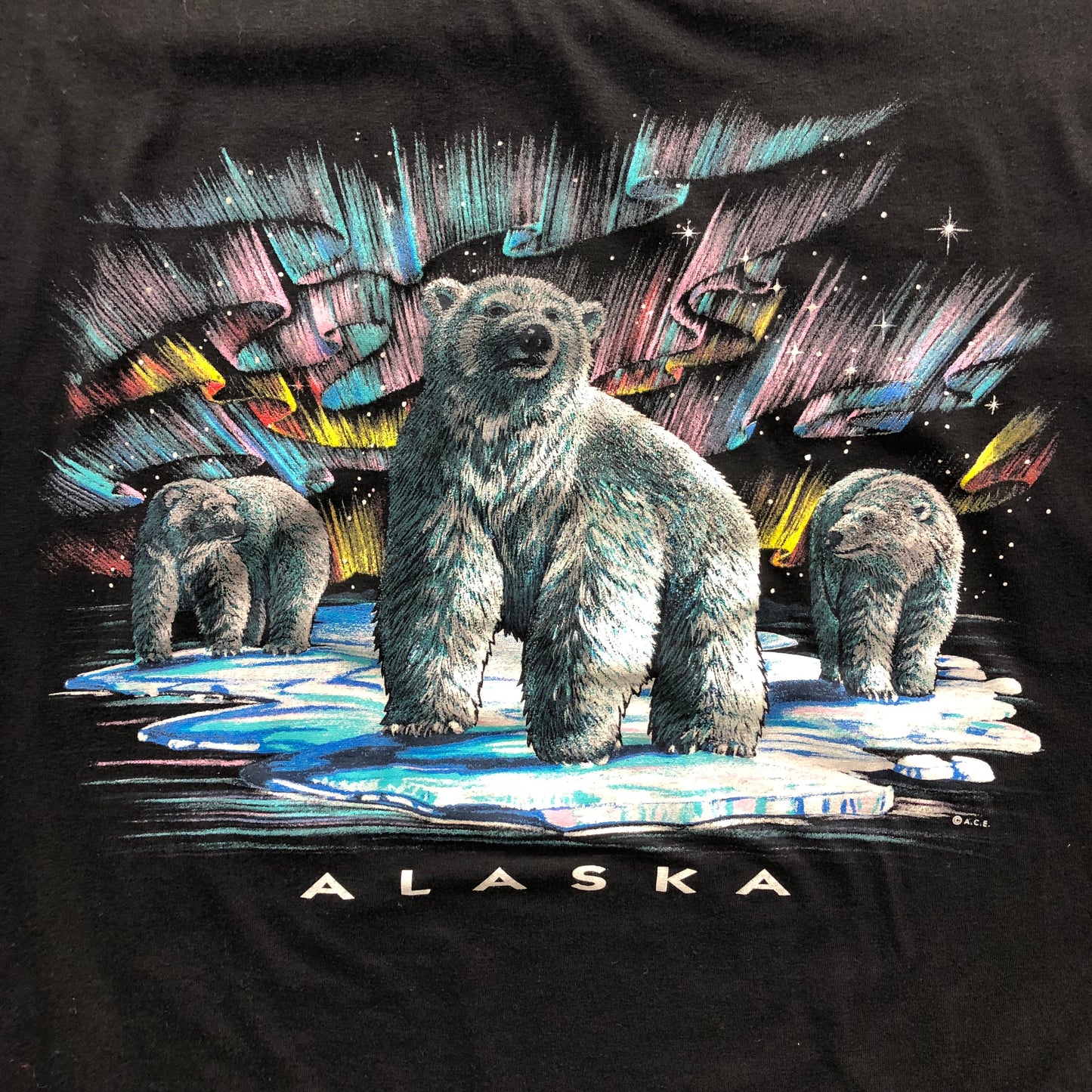 Vintage 80s USA Alaska Polar Bear T Shirt XL