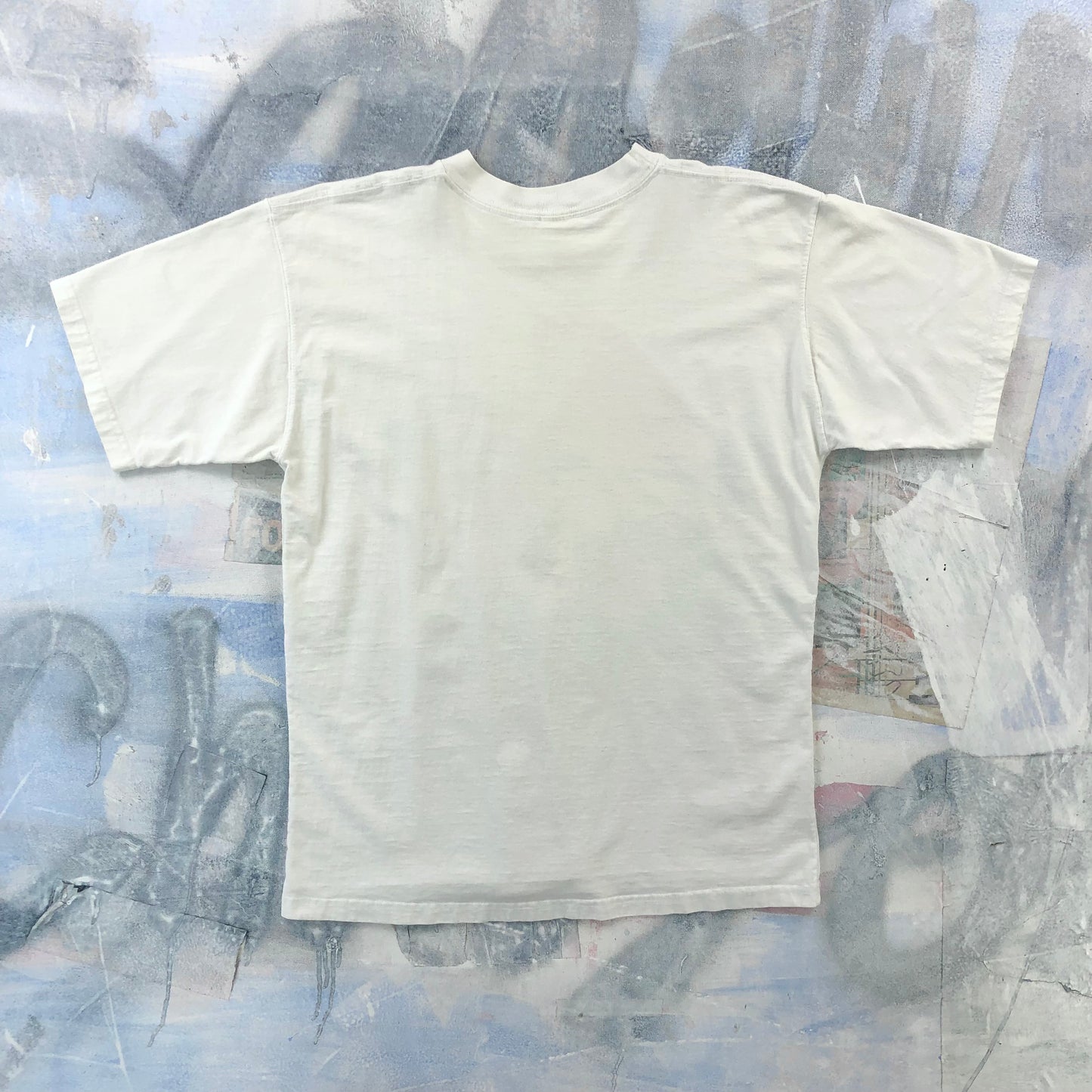 Vintage Birds Of Costa Rica T Shirt L