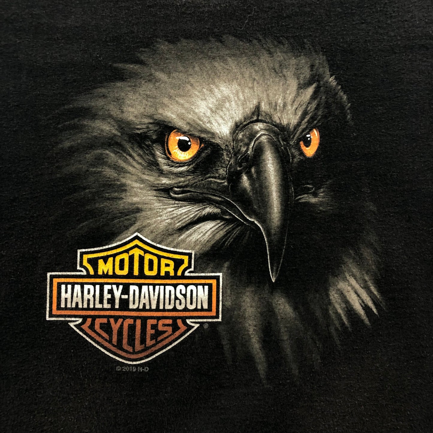 Vintage Harley Davidson Motorcycles Beartooth Pass Red Lodge Montana Eagle T Shirt XL