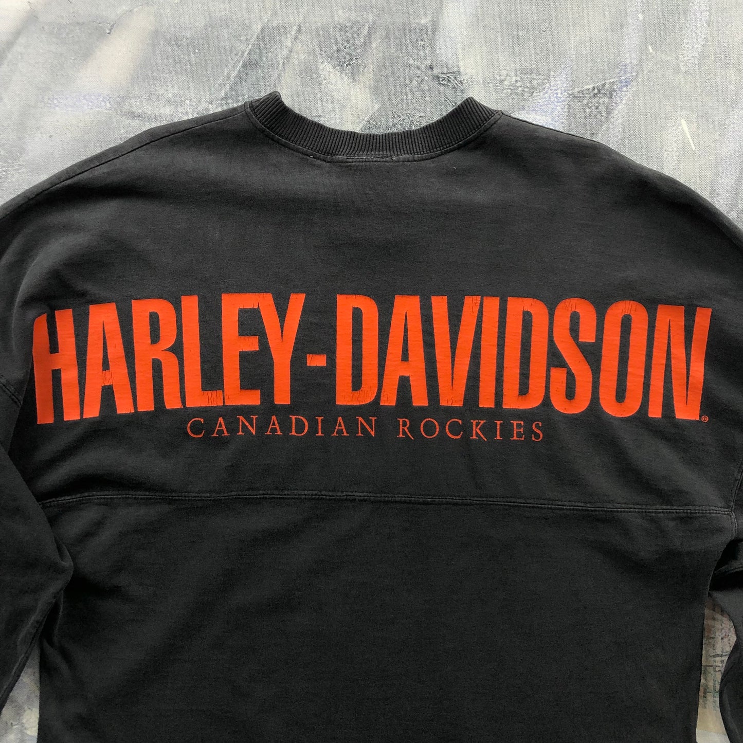Vintage Harley Davidson Motorcycles Canadian Rockies Long Sleeve Heavyweight Shirt L