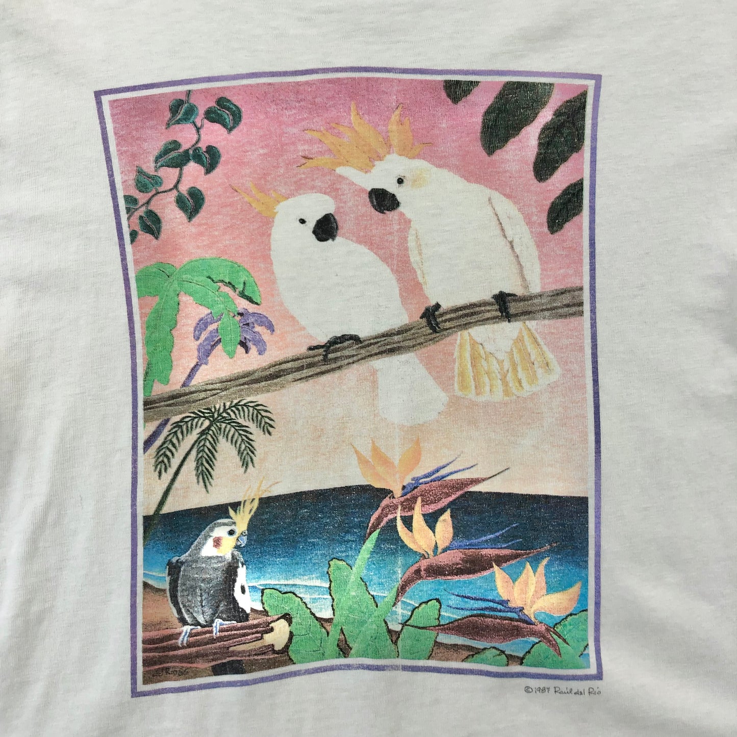 Vintage 80s Raul Del Rio Cockatoos Art Single Stitch T Shirt M