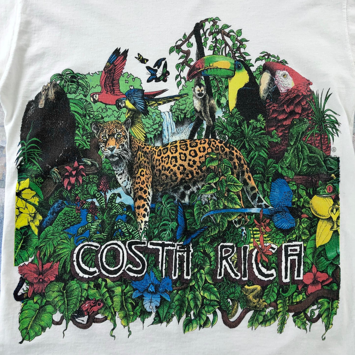 Vintage 90s Costa Rica Rain Forest Animals T Shirt M
