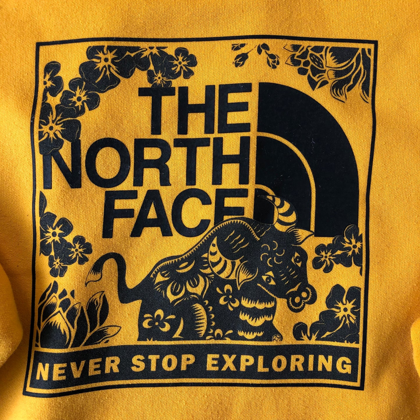 The North Face Never Stop Exploring Chinese New Year Hoodie Sweatshirt M